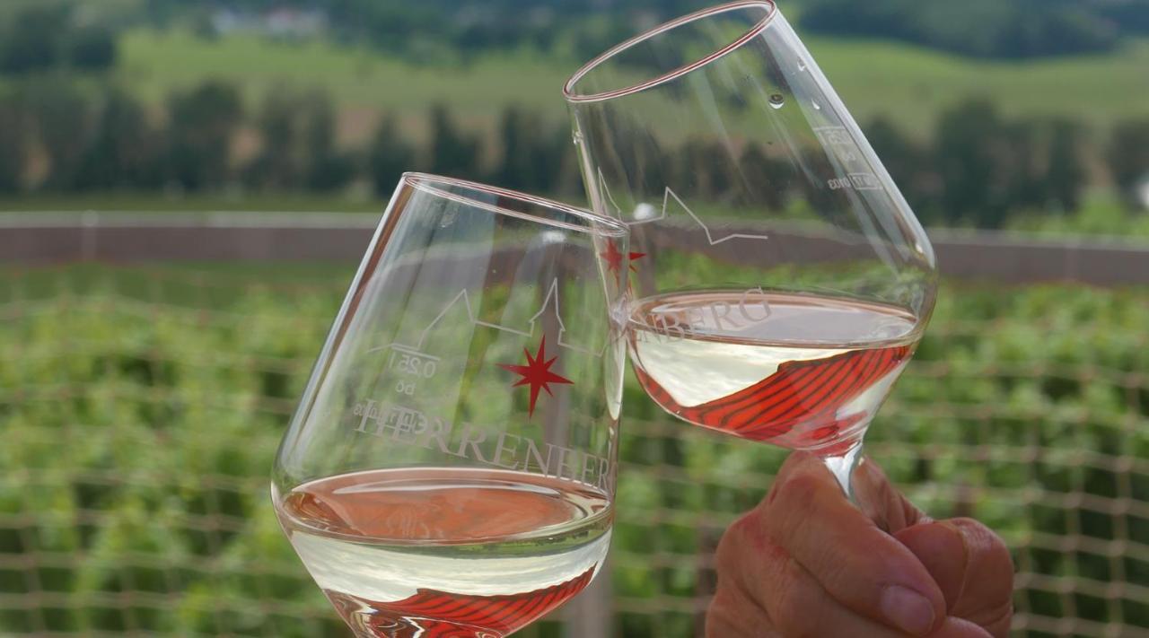 Bella Vista - Winzerhof Golk Meissen