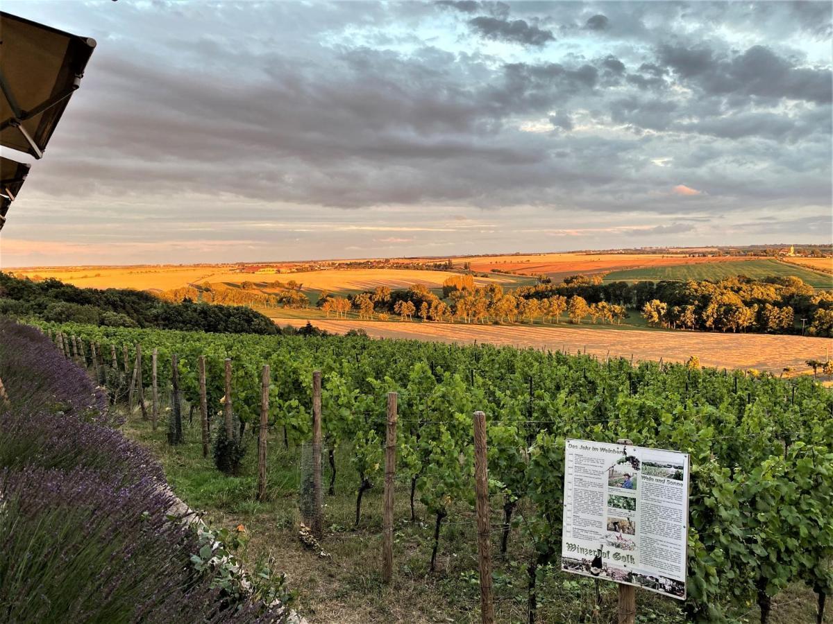 Bella Vista - Winzerhof Golk Guest house