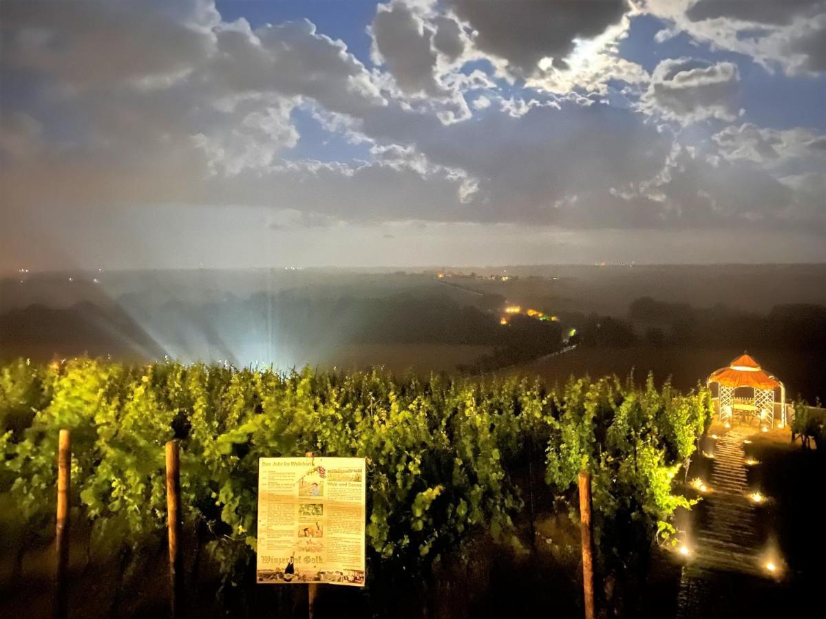 Guest house Bella Vista - Winzerhof Golk *